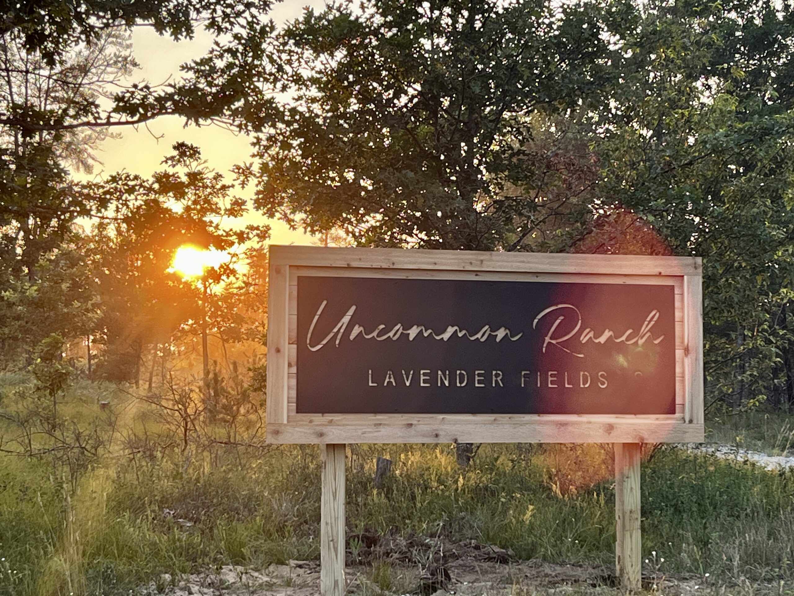A picturesque scene of the Uncommon Ranch Lavender Fields sign against the backdrop of a stunning sunset, inviting tranquility and beauty.