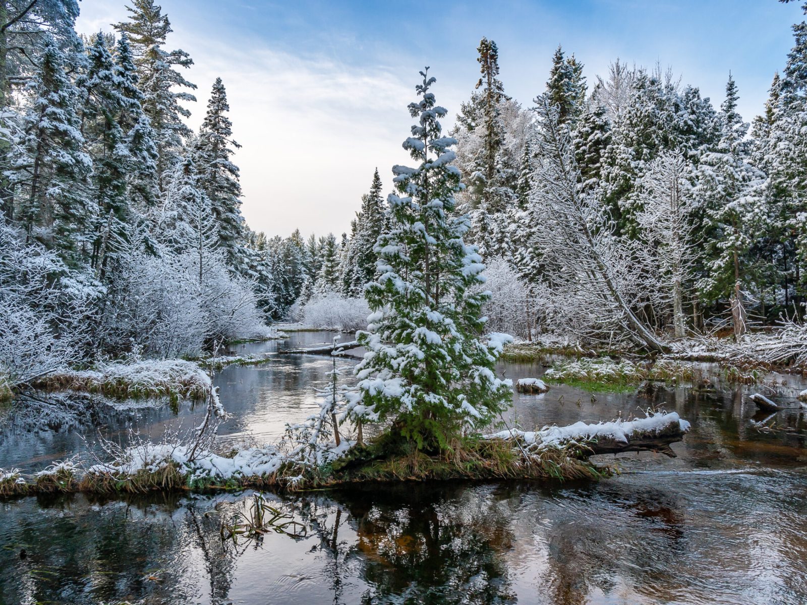 A serene view of a snow-covered forest in Northern Michigan, where winter paints a tranquil and enchanting landscape.